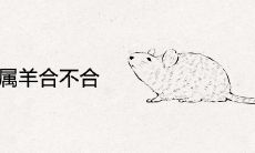 属鼠和属羊合不合