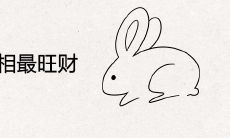属兔和什么属相最旺财