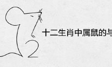 十二生肖中属鼠的与什么最配
