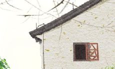 哪种眉毛有害人倾向