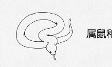 属鼠和属蛇合不合