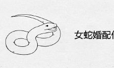 女蛇婚配什么最好