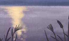 眉毛细长的女人性格外向么？