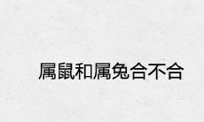 属鼠和属兔合不合