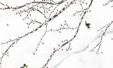 怎样测这个名字好不好 八字精选名称推荐