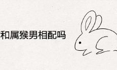 属兔女和属猴男相配吗