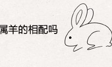 属兔的和属羊的相配吗