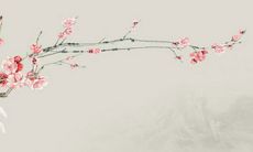 测试你的正缘是谁 八字合婚测缘分