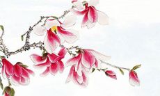 免费算婚姻另一半出现时间 出现了另一半看天喜星