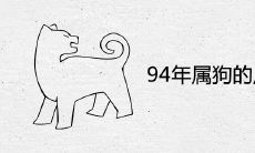 94年属狗的属相婚配表