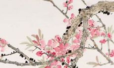 95年属猪27岁命运如何 佩戴红手绳可改善运势