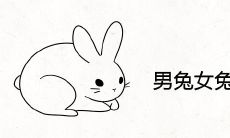 男兔女兔能过一生吗