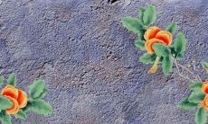 免费测试婚姻姓名配对 免费测自己有几段婚姻