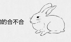 属兔和属狗的合不合