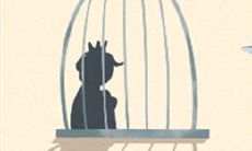 生命线图解：生命线有痣说明什么？