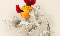 2022年7月7日小暑提车好吗 购置新车好不好