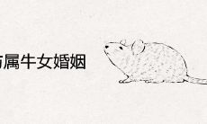 属鼠男与属牛女婚姻会长久吗