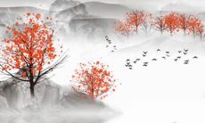 2022年6月24日适合提车吗 今日黄历宜忌分析