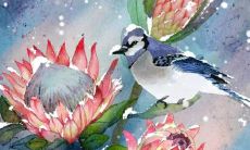 2022年6月22日提车吉利吗 这天日子如何