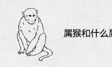 属猴和什么属相相配