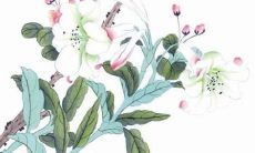 2022年7月4日提车日子好吗 日子好不好