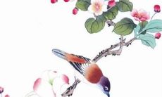 2022年7月5日适合提车吗 今日黄历宜忌分析