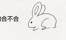 属兔和属羊的合不合