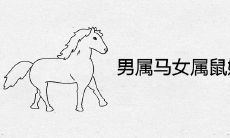 男属马女属鼠婚姻状况