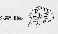 属虎和什么属相相配