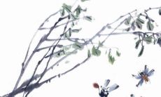 2022年6月26日提车好吗 购置新车好不好