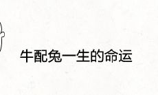 牛配兔一生的命运