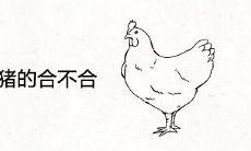 属鸡的和属猪的合不合