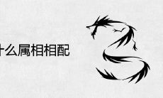 属龙和什么属相相配