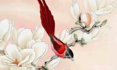 2022年7月9日适合提新车吗 老黄历查询