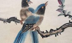 2022年7月6日提车好不好 是提新车的大吉日子吗