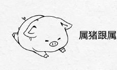 属猪跟属虎的合不合