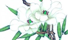 2022年7月3日提车吉利吗 这天日子如何