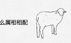 属羊和什么属相相配