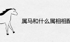 属马和什么属相相配