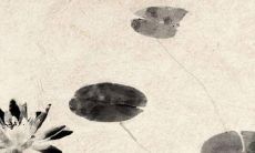 2021年12月19日适合建房动土吗 农历十一月十六是动土吉日吗