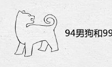 94男狗和99女兔相配吗