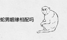 属猴女和属蛇男姻缘相配吗
