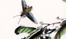 2021年12月3日可以开工动土吗 农历十月二十九动土怎么样