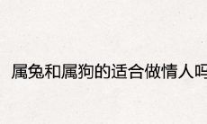 属兔和属狗的适合做情人吗