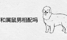 属狗女和属鼠男相配吗