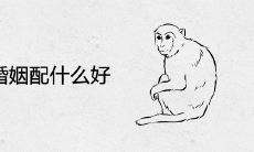 80男猴婚姻配什么好