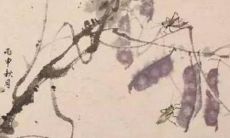 2021年12月11日是动土吉日吗 农历十一月初八可以开工动土吗