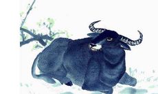 2021年12月5日是动土吉日吗 农历十一月初二可以开工动土吗