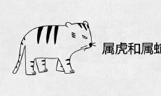 属虎和属蛇的夫妻结局