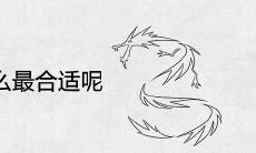 女属龙配什么最合适呢